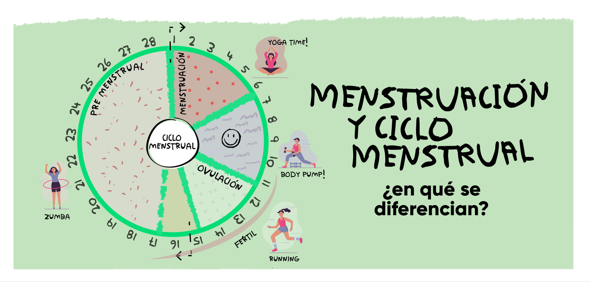¿Cuál es la diferencia entre menstruación y ciclo menstrual?