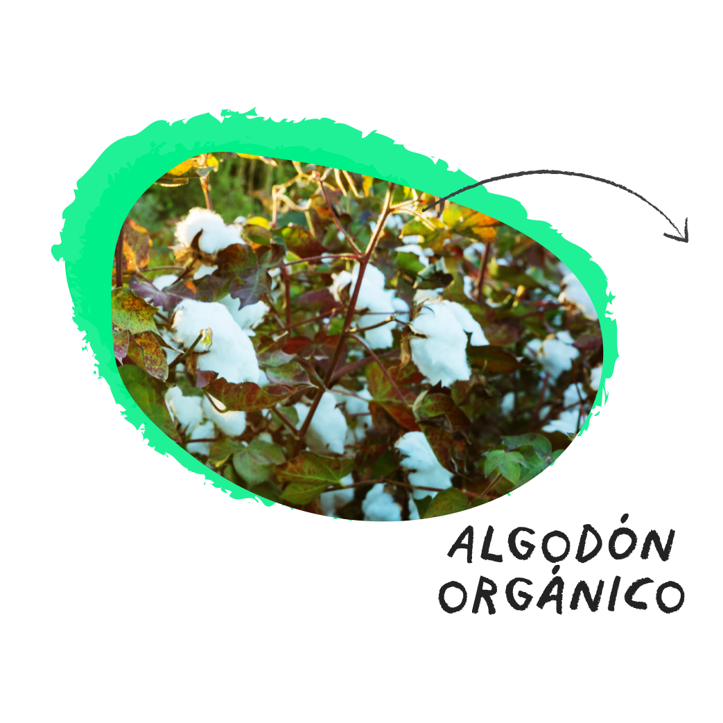 calzones menstruales Bloodygreen algodon organico